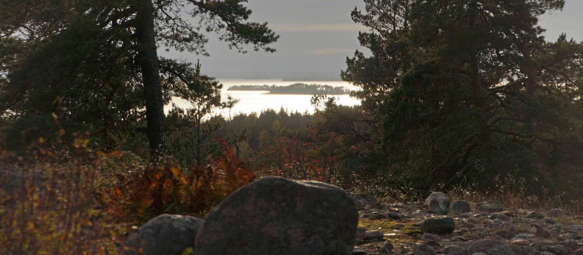 mälarglimt från Rösarings naturreservat