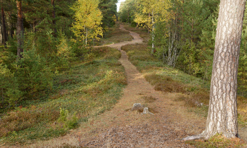 processionsvägen vid Rösaring i Upplands-Bro